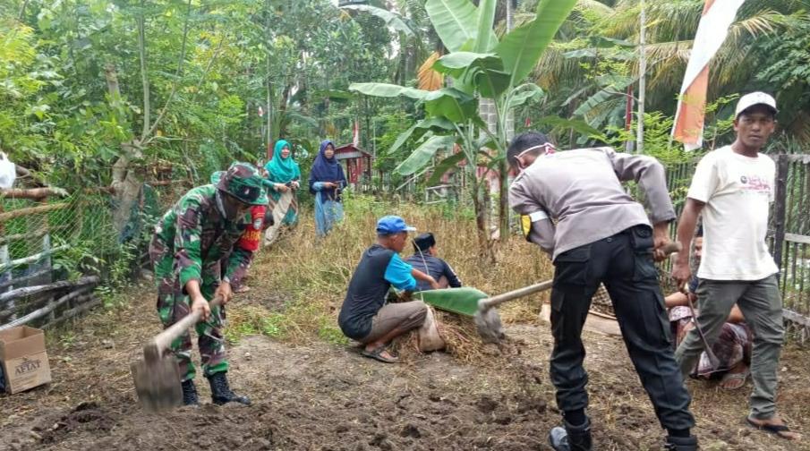 Cipta Ketahan Cadangan Pangan di Wilayah, Tiga Pilar Desa Blang Baru Labar Lakukan Ini