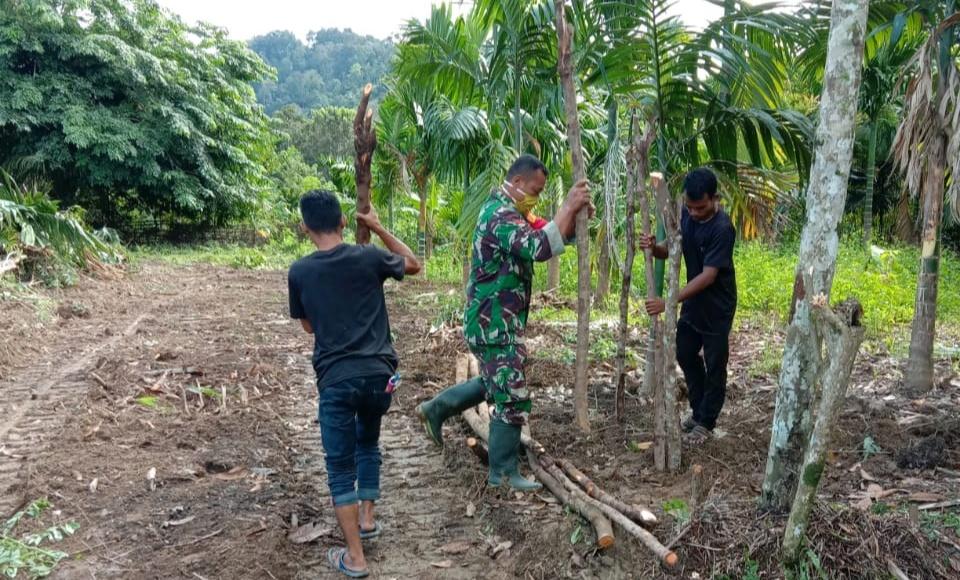 Dengan Semangat Yang Tinggi, Kopda Sulomo Bergotong Royong Bersama Masyarakat Bersihkan jalan Tani