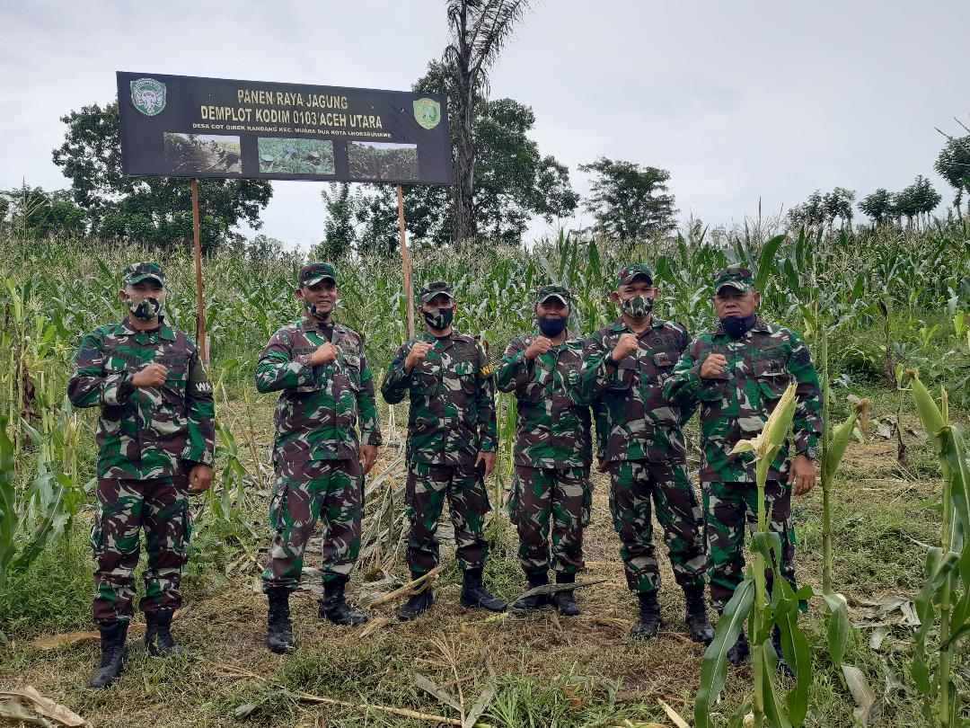 Kunjungi Kodim 0103/Aut Tim Wasev Sterdam IM Tinjau Demplot Jagung Kodim 0103/Aut