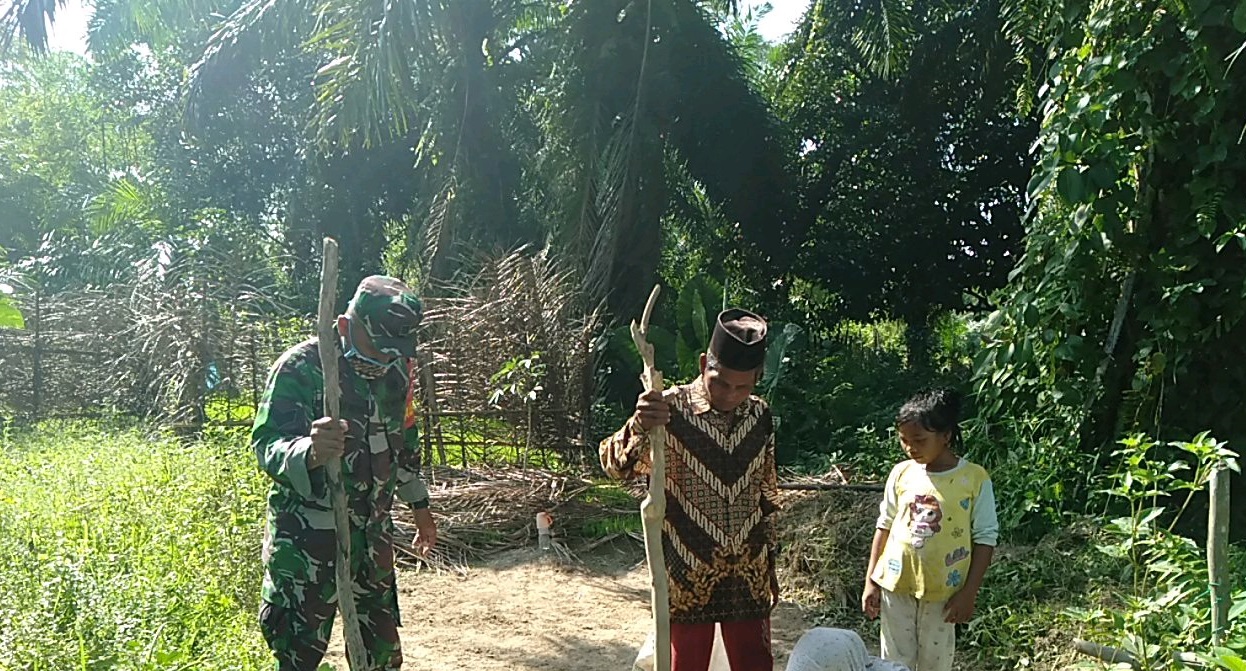 Serka Safnir Ajarkan Penanaman Padi Secara Jajar Legowo Kepada Warganya