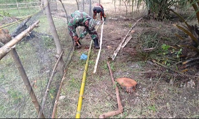 Babinsa Bantu Petani Perbaiki Pagar Kebun Jagung