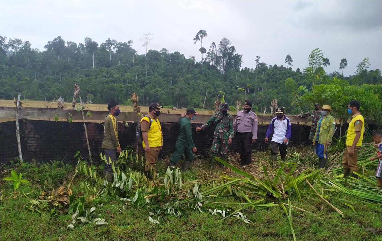 Babinsa Bersama PPL dan Bhabinkamtibmas Mengecek Pagar Sawah