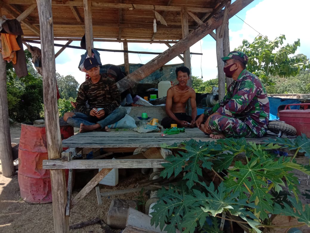 Babinsa Ajak Petani Tanam Jagung