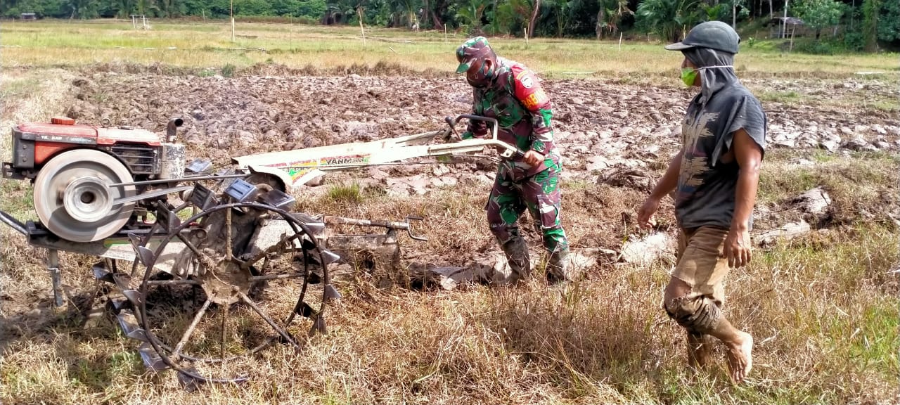 Babinsa Membantu Petani Membajak Sawah
