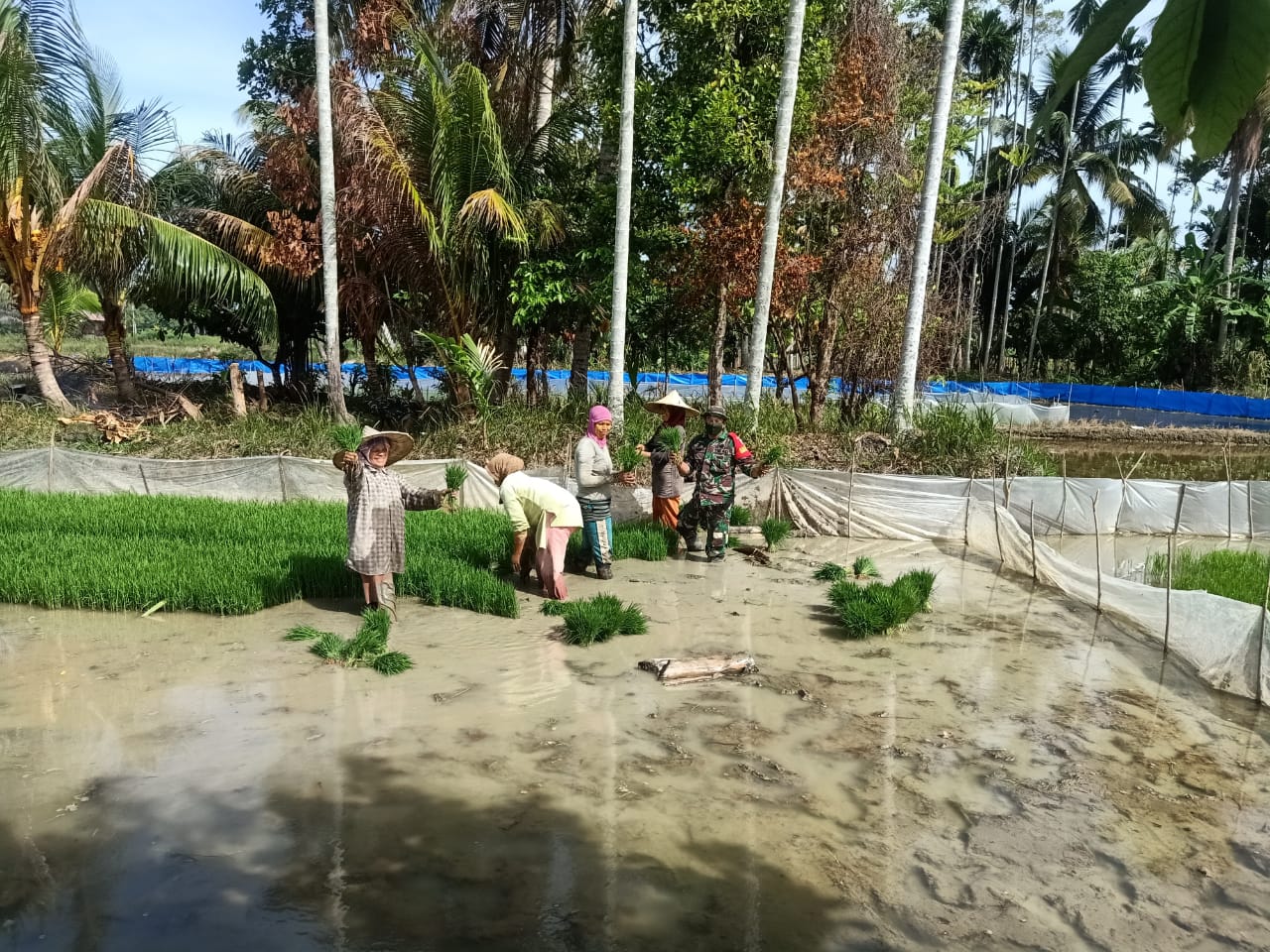 Potret Kedekatan dan Keakraban Serda Zainal Amri dengan Petani