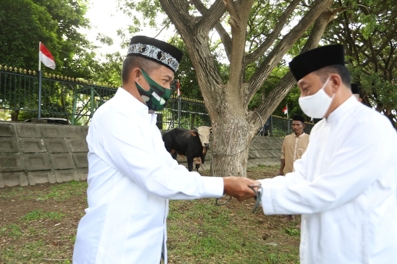 Pangdam IM Serahkan Hewan Qurban Kepada Panitia Qurban