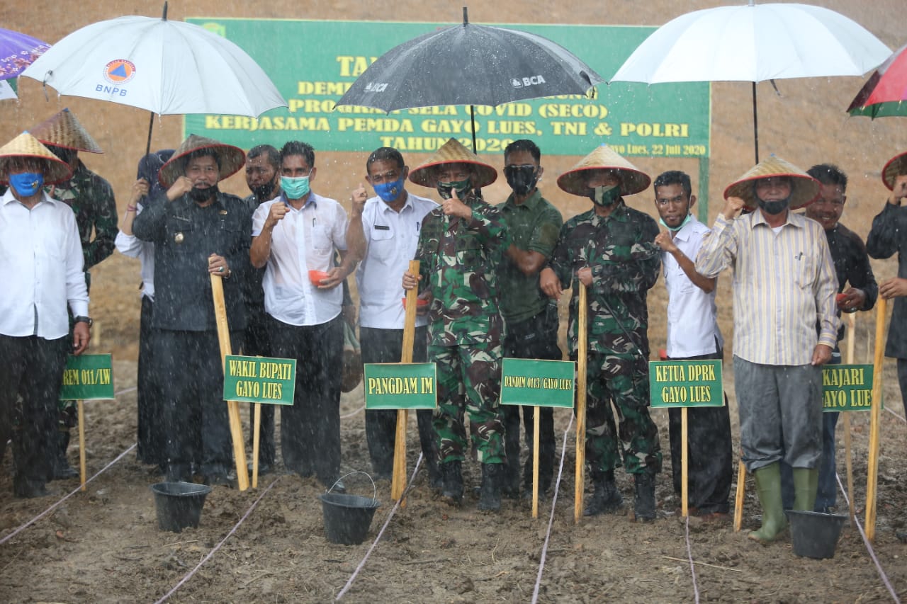 Tanam Perdana Komuditi Jagung, Ini Harapan Pangdam IM