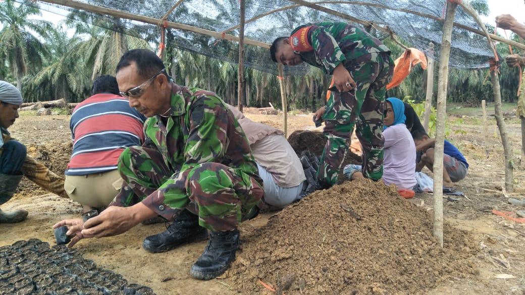 Untuk Mensejahterakan Kehidupan Masyarakat TNI-AD Bantu Olah Lahan Pertanian
