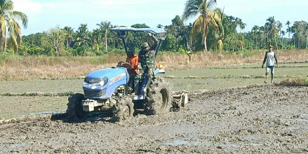 Babinsa Koramil 13/Kluet Timur Bersama Petani Terus Bersinergi Dalam Pengolahan Lahan Sawah