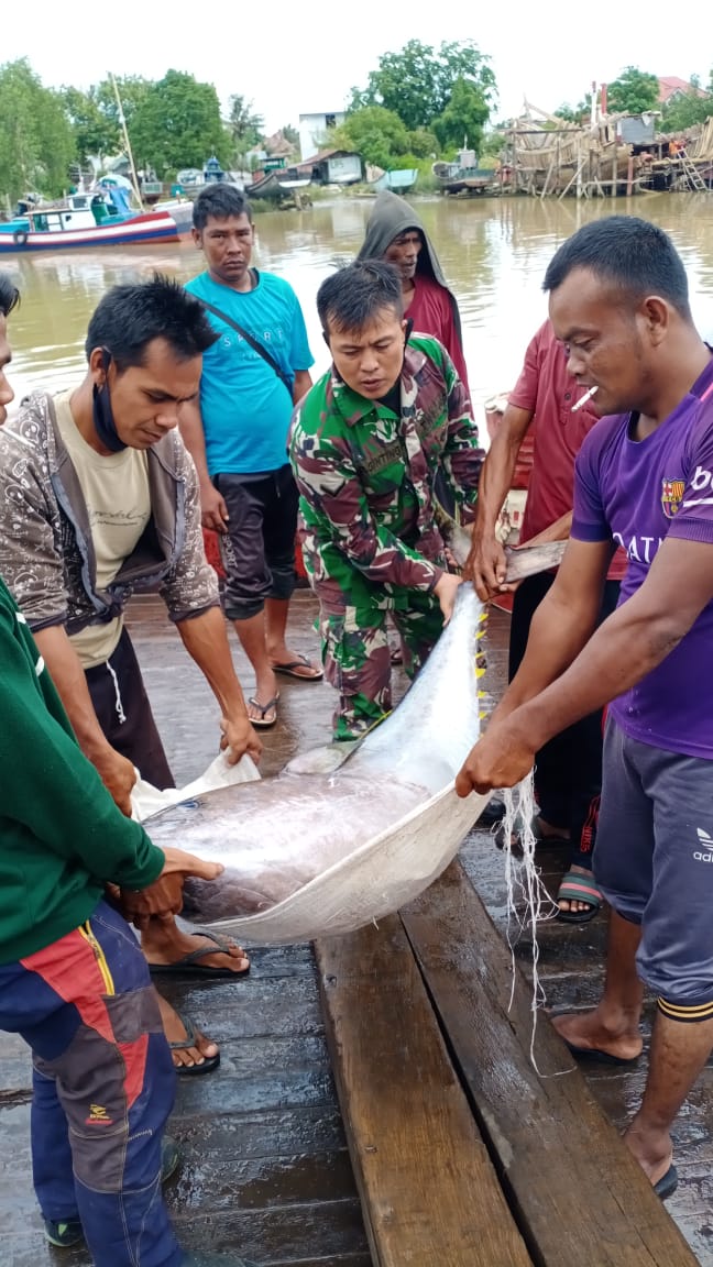 Babinsa Koramil 13/Kuta Alam,Mengabdikan Dirinya Untuk Meembantu warga Desa binaannya