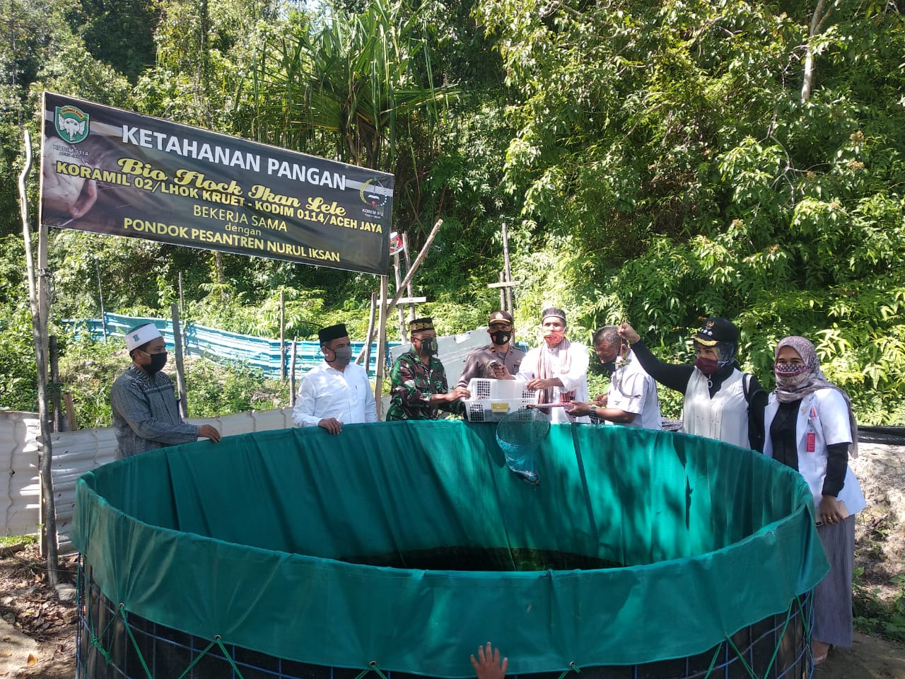 Dibantu Kodim Aceh Jaya, Kini Pesantren Nurul Ikhsan Mulai Panen Lele