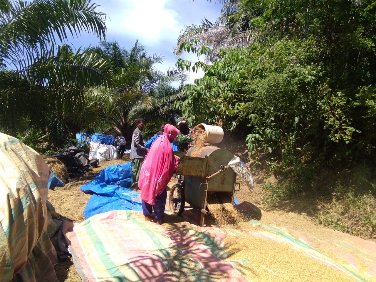 Babinsa Lageun Bantu Ibu Fatimah Giling Padi