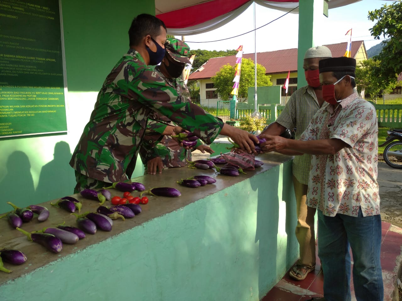 Panen di  Lahan Ketahanan Pangan, Koramil 01/Lamno Bagi – Bagi Sayuran Untuk Warga