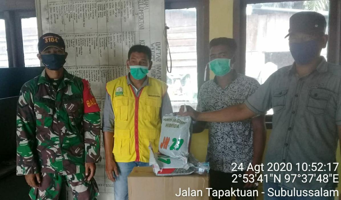 Wujudkan Ketahanan Pangan di Wilayah, Babinsa Koramil 09/Trumon Dampingi Manteri Tani, BPP dan PPL Menyalurkan Bibit Jagung