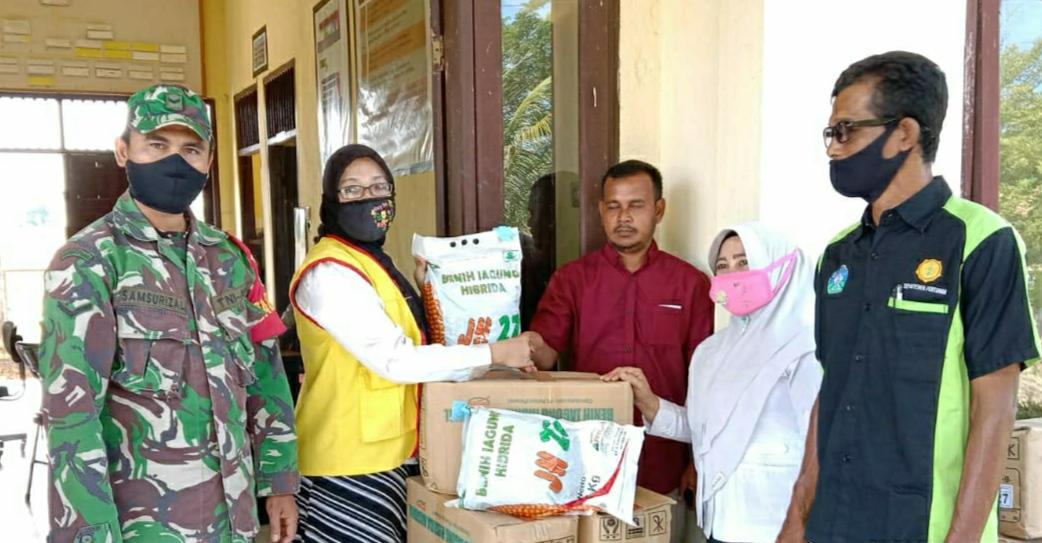 Tingkatkan Pencapaian Ketahanan Pangan, Babinsa Koramil 09/Trumon Dampingi BPP, PPL Salurkan Bibit Jagung Kepada Petani