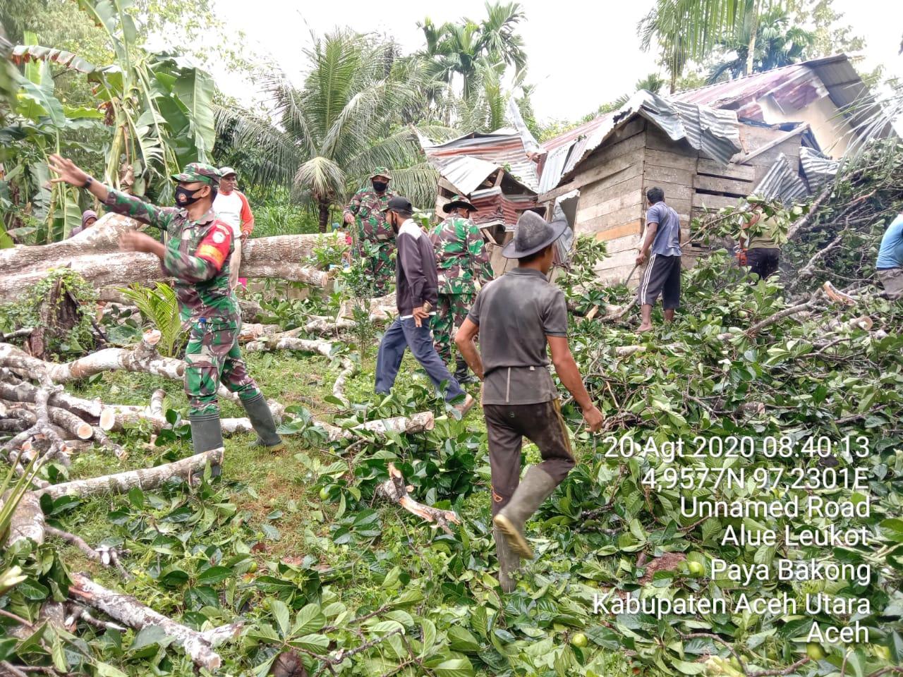 Babinsa Bersama Masyarakat Bantu Membersihkan Pohon Tumbang Yang Menimpa Rumah Warga Di Paya Bakong