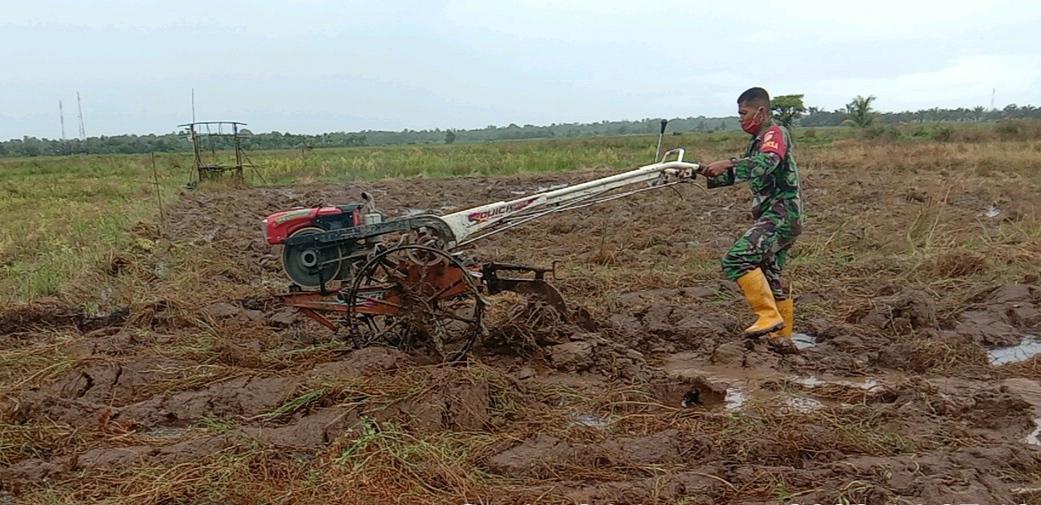 Wujud Kebersamaan Sukseskan Hanpangan, Babinsa Koramil 14/Pasie Raja Pegang Kendali Handtraktor
