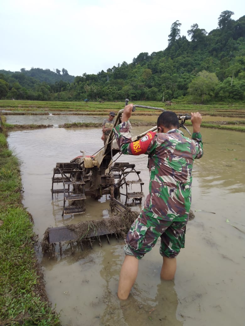 Bantu Petani Bajak Sawah, Salah Satu Motivasi Yang Diberikan Babinsa 07/Teupah Barat