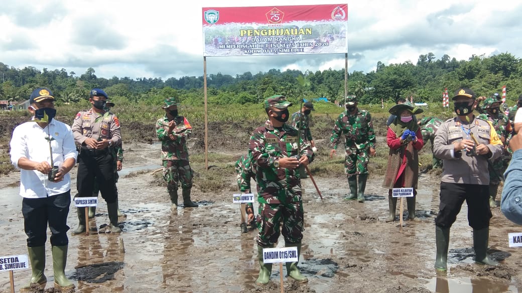 HUT TNI ke 75, Kodim 0115/Simeulue melaksanakan penghijauan dengan penanaman Pohon mangrove
