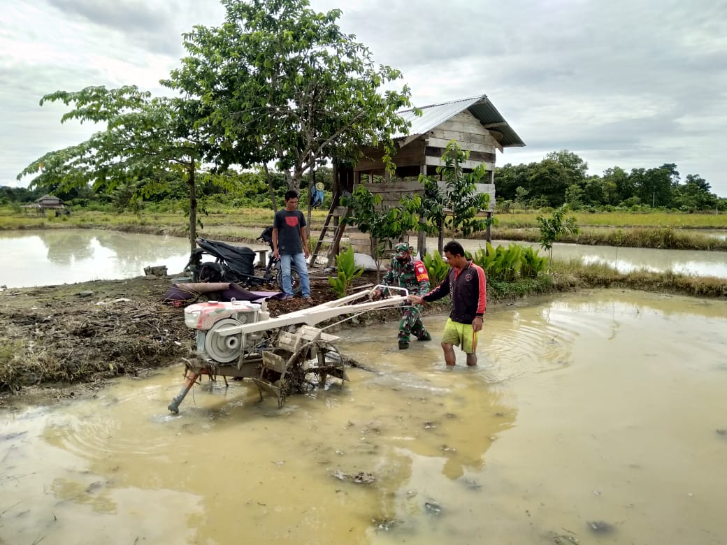 Korpral Widodo Bantu Petani Bajak Sawah