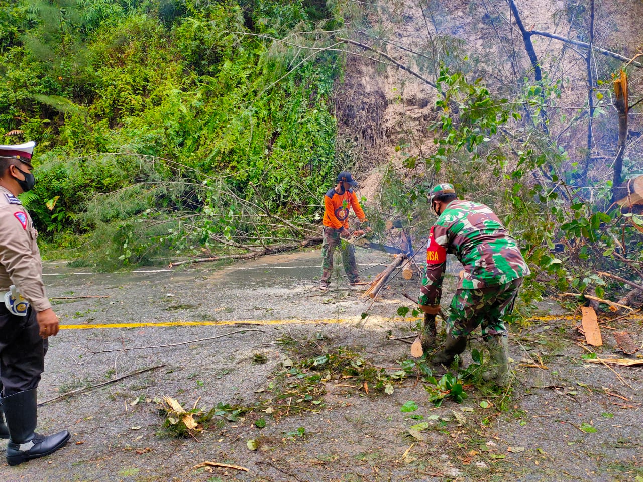Cuaca Hujan Sebabkan Pohon Tumbang ke Badan Jalan, TNI – Polri Lakukan Pembersihan