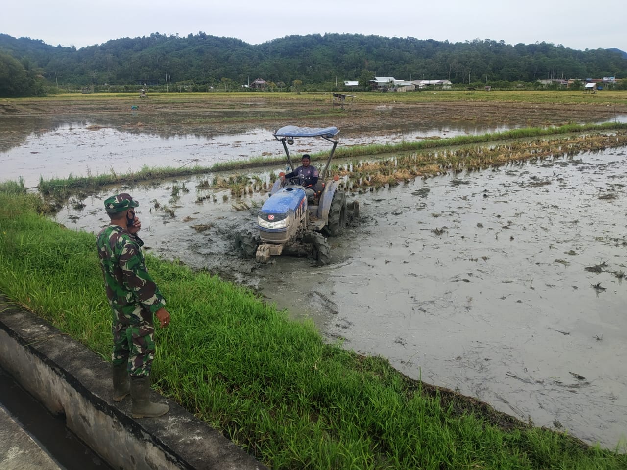 Peduli Petani, Babinsa Lamno Pantau Perkembangan Bajak Sawah