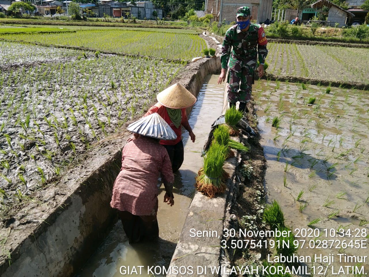Sukseskan Ketahanan Pangan Wilayah, Babinsa Koramil 03/Muekek Galakkan Komsos Dengan Petani