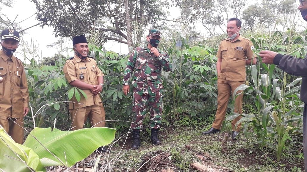 Jelang Masa Panen, Danramil Bersama Forkopimcam Tinjau Lahan