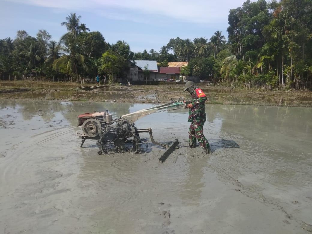 Bergemelut Dengan Lumpur, Koptu Tursaini Penuh Semangat Bantu Petani Olah Lahan Sawah