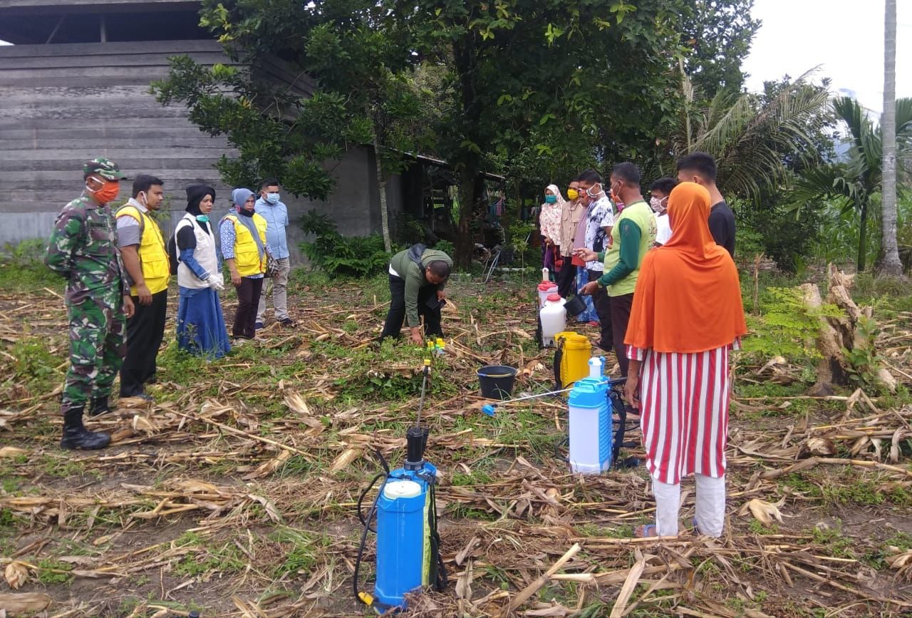 PPL dan Babinsa Agara Lakukan Sosialisasi Penyemprotan Hama Jagung