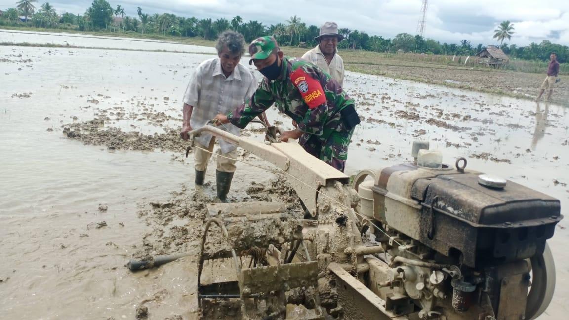 Babinsa Tadu Raya Piawai Operasikan Traktor Tangan Bantu Petani Olah Lahan Pertanian   