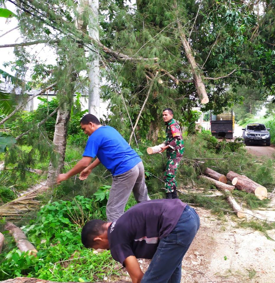 Babinsa Bantu Evakuasi Pohon Tumbang