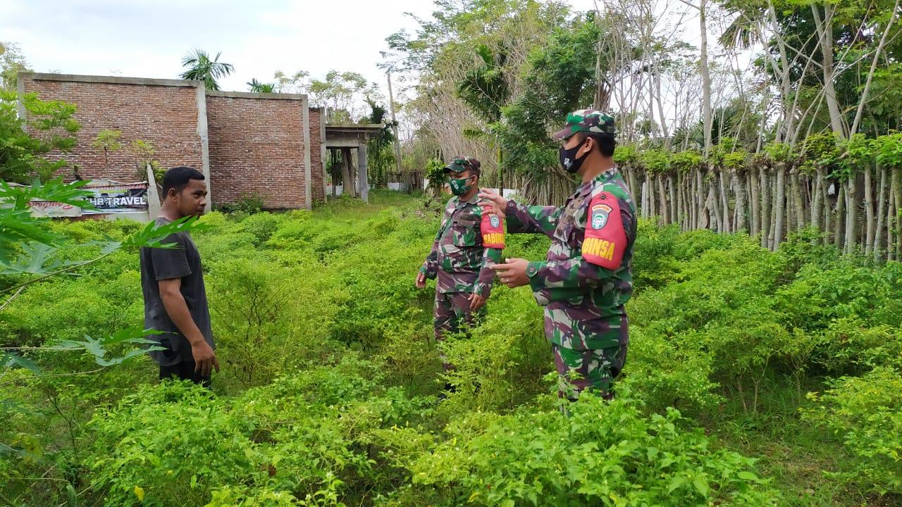 Babinsa Koramil 10/PB Kodim 0101/Bs Motivasi Petani Manfaatkan Lahan Tidur