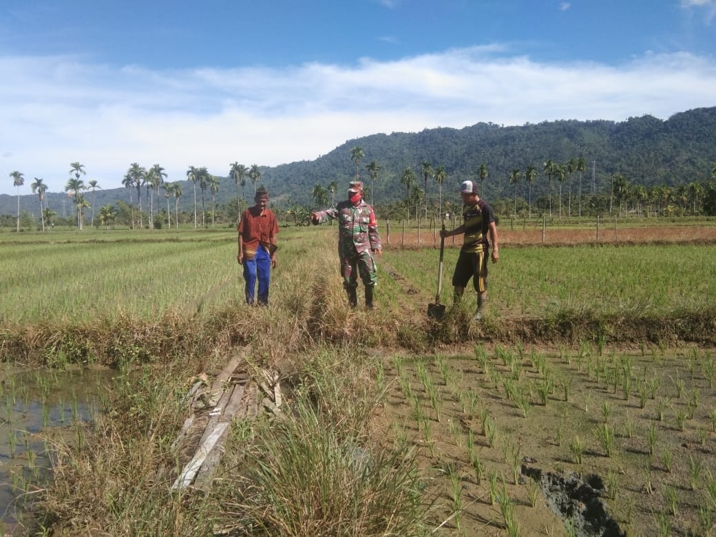 Babinsa Koramil 02/Kuala Batee Dampingi Petani Pantau Saluran Air