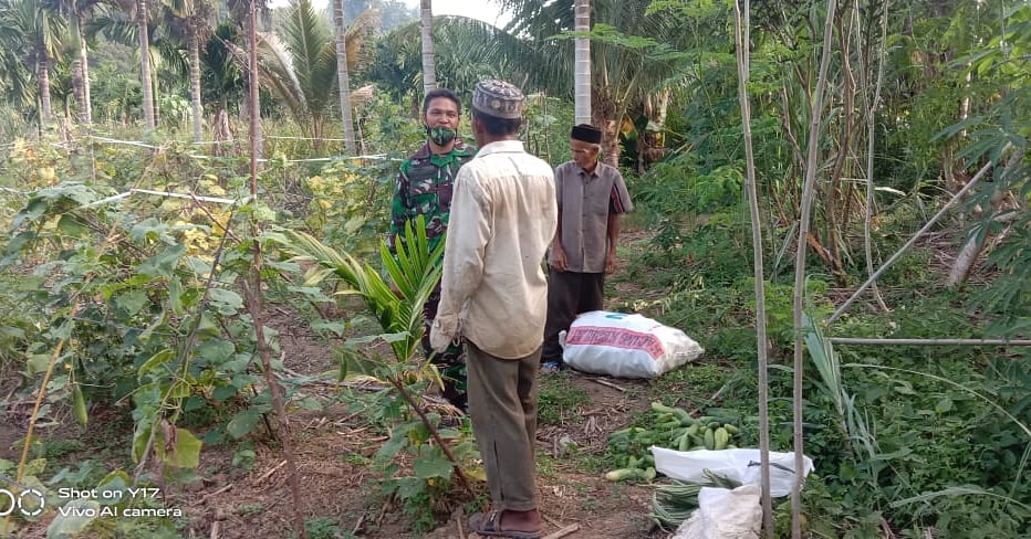 BERIKAN MOTIFASI, BABINSA GELAR KOMSOS DENGAN PETANI