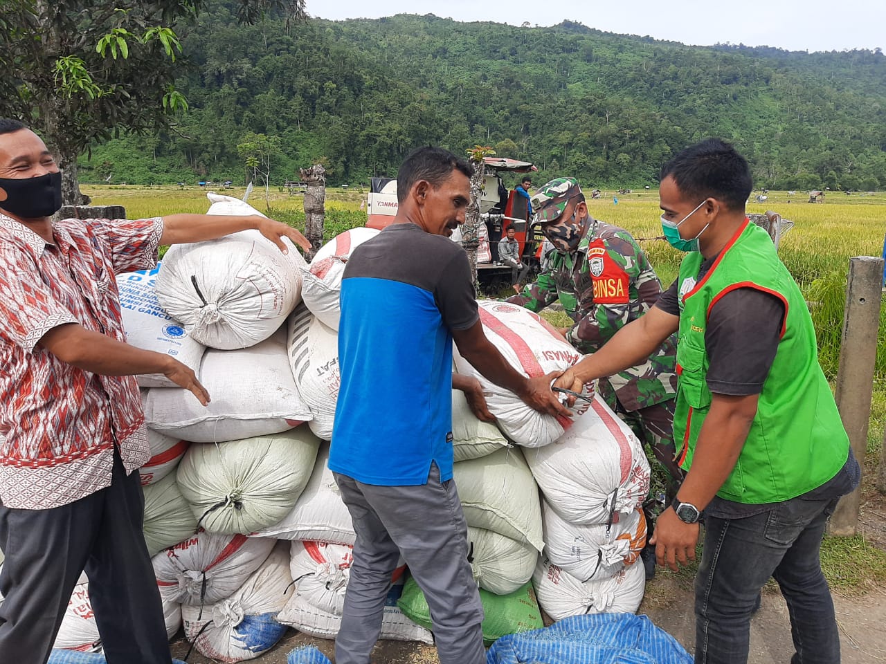 Babinsa Koramil 01/Lamno Bersama PPL Bantu Angkat Hasil Panen Padi