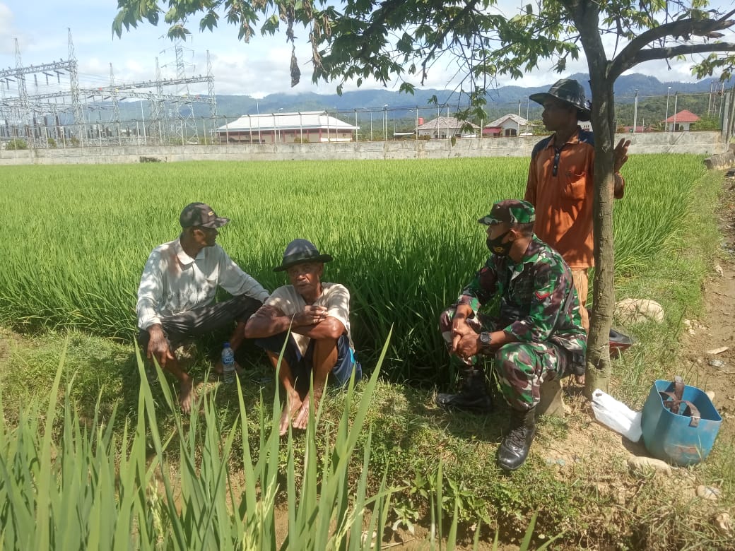 Selalu Aktif Diwilayah Binaan, Babinsa Gelar Komsos Dengan Petani