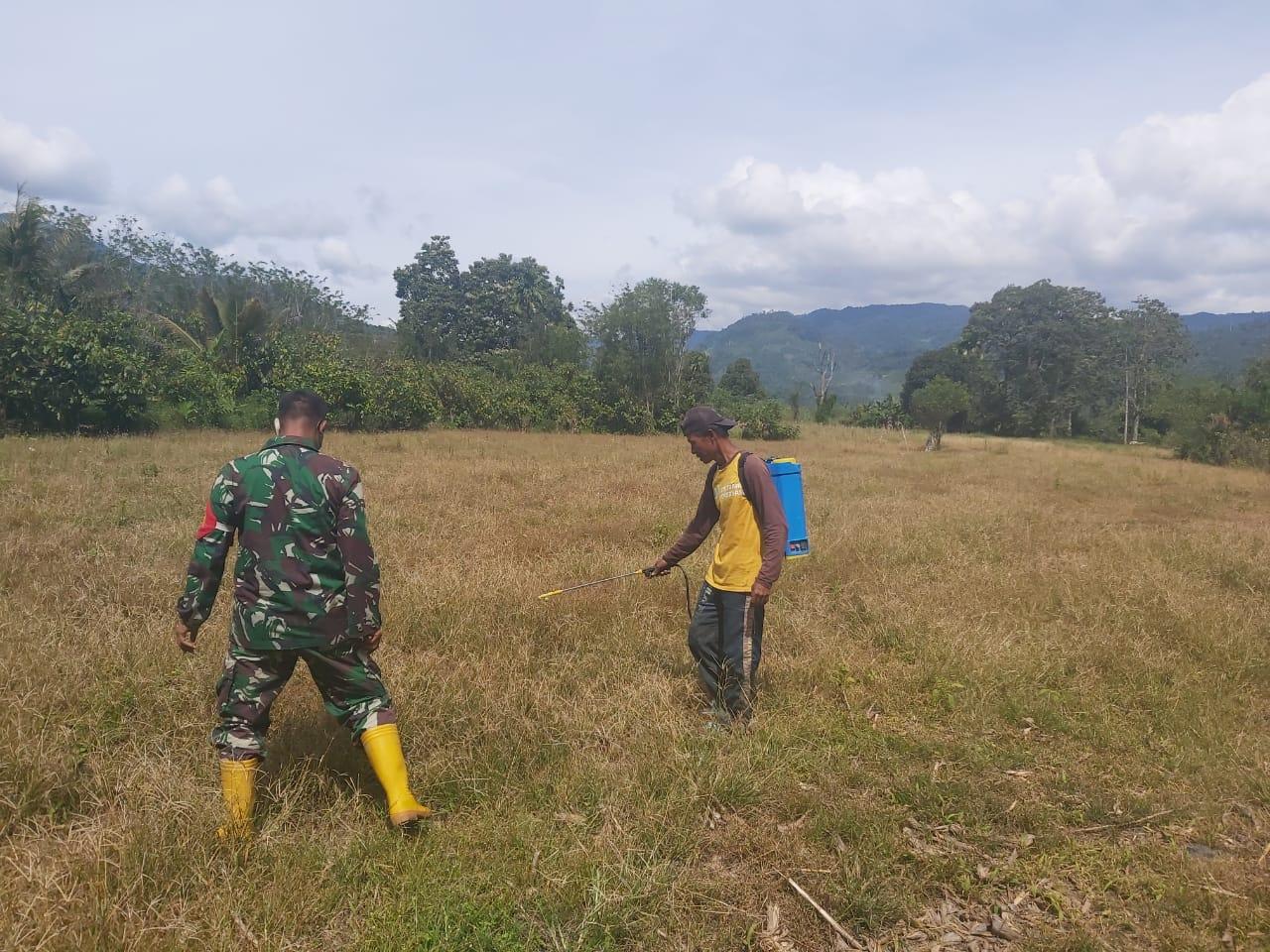 Babinsa Pos Ramil Putri Betung Tingkatkan Ketahanan Pangan