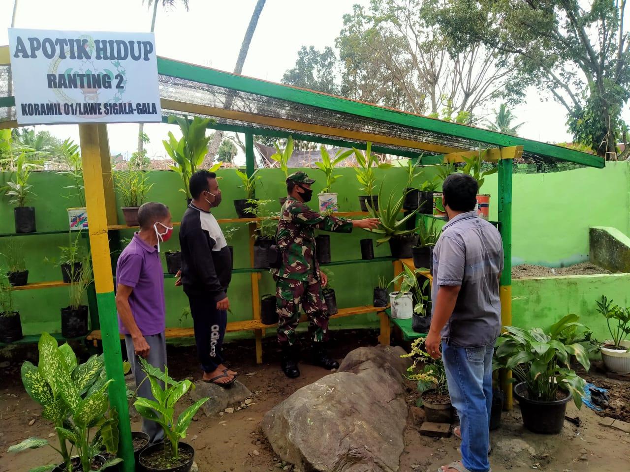 Dandim Agara Ajak Jajarannya Buat Apotik Hidup