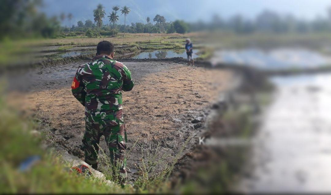 Wujudkan Kesejahteraan Petani, Babinsa Semai Bibit Padi