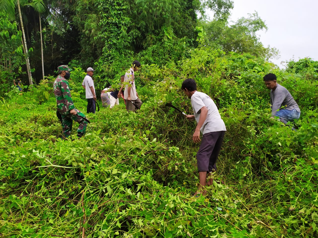 Babinsa Manfaatkan Lahan Kosong Menjadi Perkebunan Warga