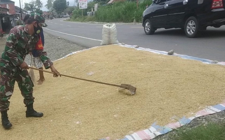 Serka Sahat Babinsa Posramil Bukit Tusam Bantu Petani Jemur Padi