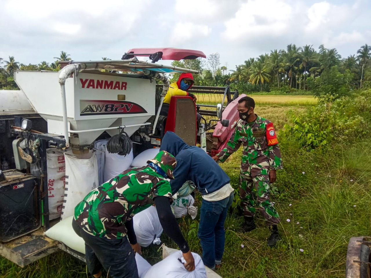 Kiprah Personel Kodim Aceh Timur, Dukung Swasembada Pangan Nasional