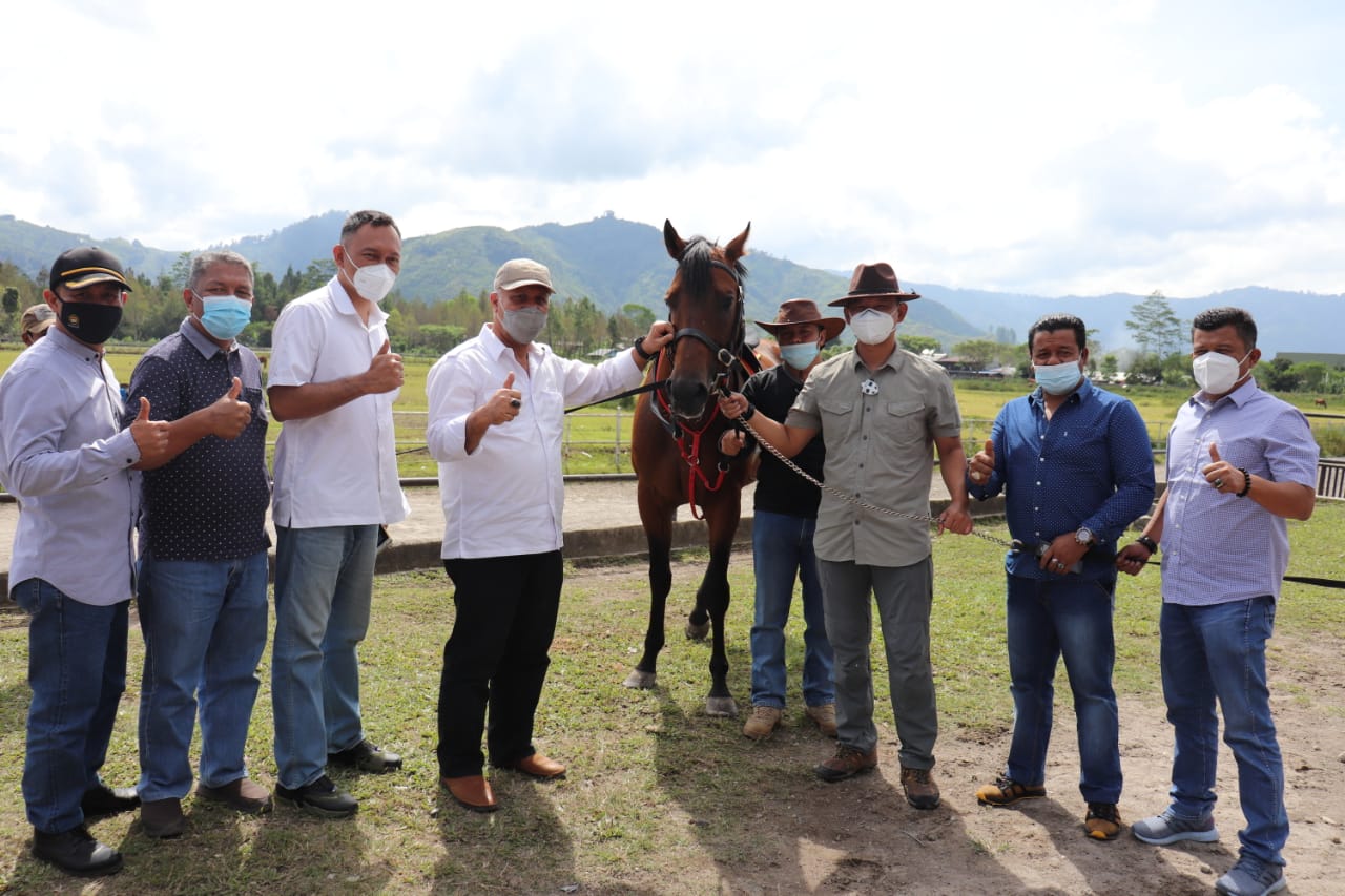 Danrem 011/LW Hibahkan Kuda Pejantan Jenis Thoroughbred New Zealand Kepada Aceh Tengah