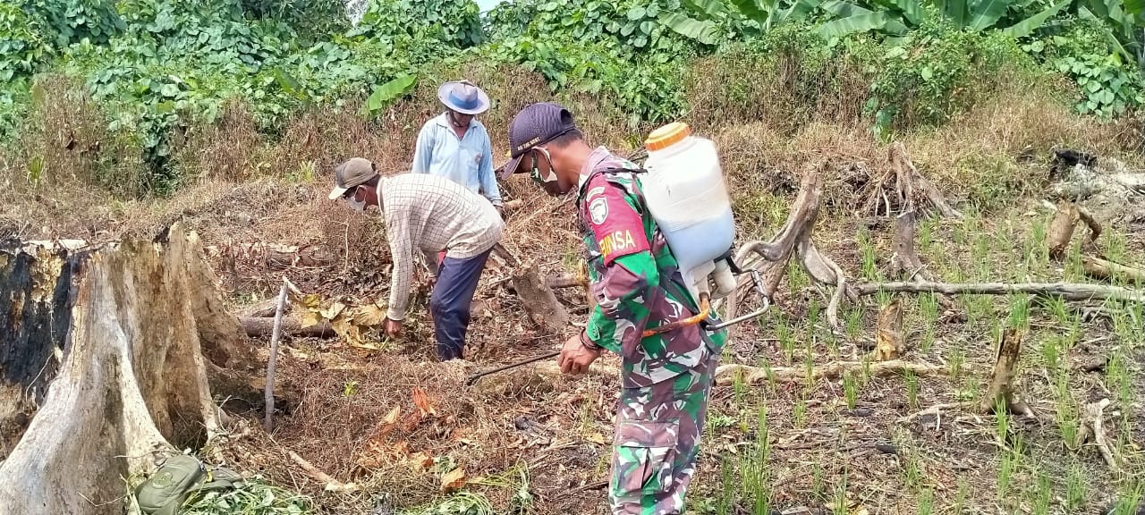 MENCEGAH PEMBAKARAN LAHAN DENGAN CARA MENYEMPROT RACUN TANAMAN LIAR