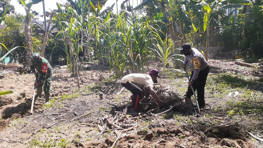 BABINSA SETIA BANTU WARGA BUKA LAHAN CABAI