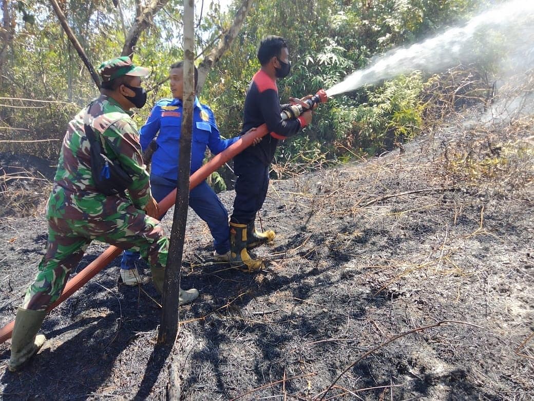 TNI dan Petugas Damkar Padamkan Kebakaran Lahan di Aceh Jaya