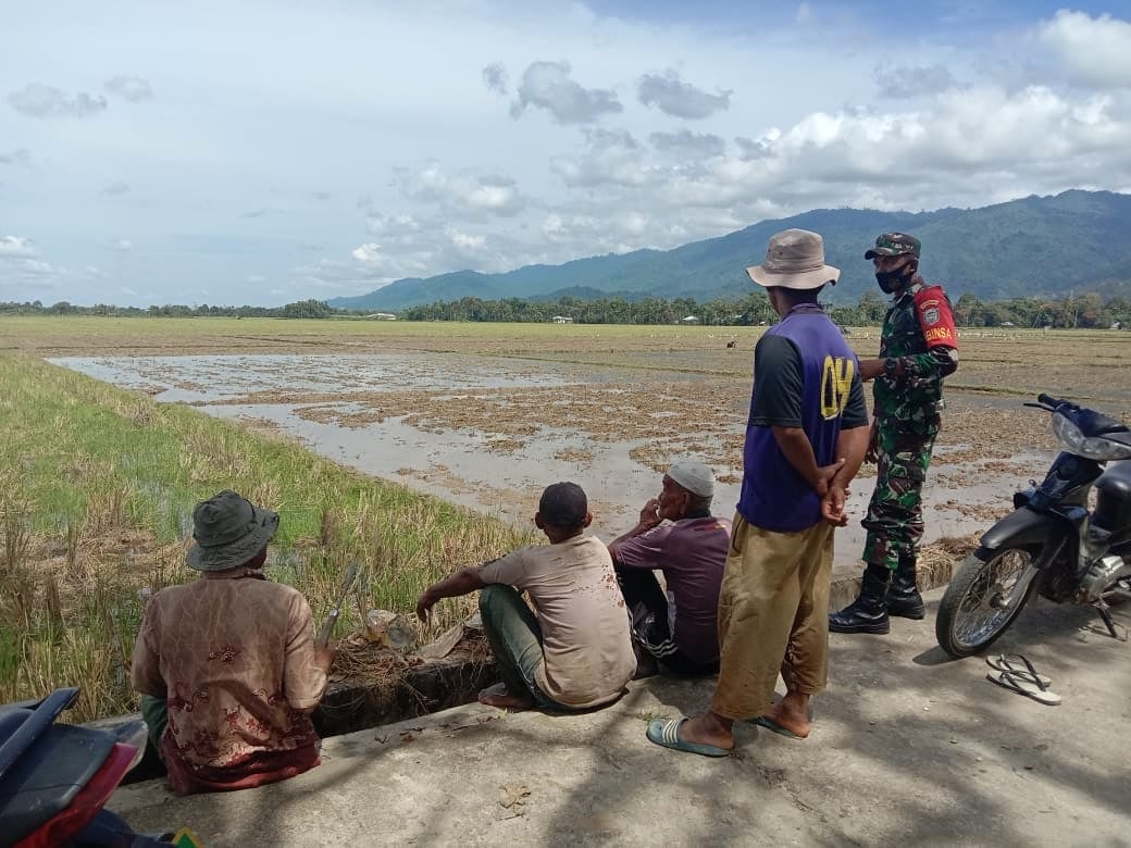 Sukseskan Swasembada Pangan, Babinsa Ajak Petani Untuk Segera Garap Lahan