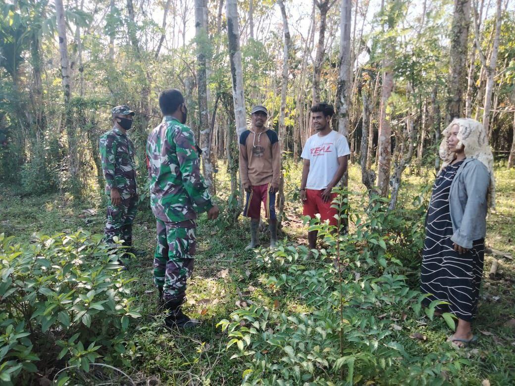 Babinsa Posramil 05/PC Sosialisasikan Stop Dan Cegah Kebakaran Hutan Dan Lahan
