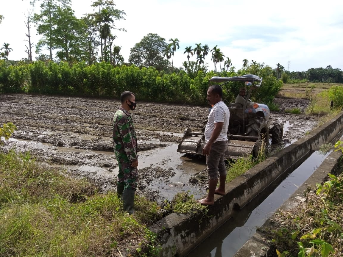 Semangat Babinsa Untuk melakukan pendampingan Petani Dalam Mengolah Lahan